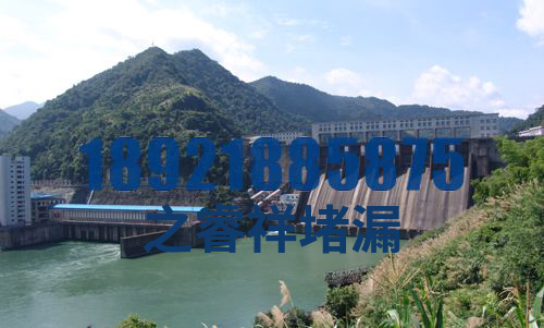 大坝伸缩缝堵漏