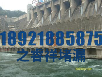 水电站大坝堵漏维修