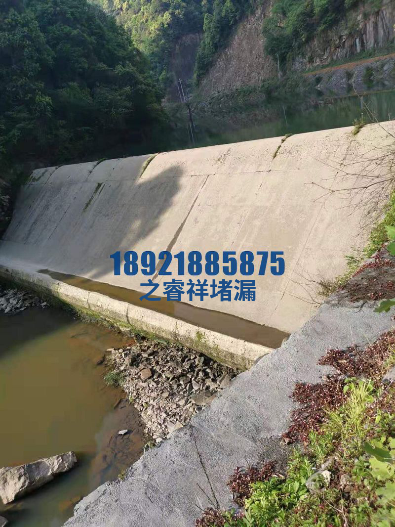 水电站大坝堵漏