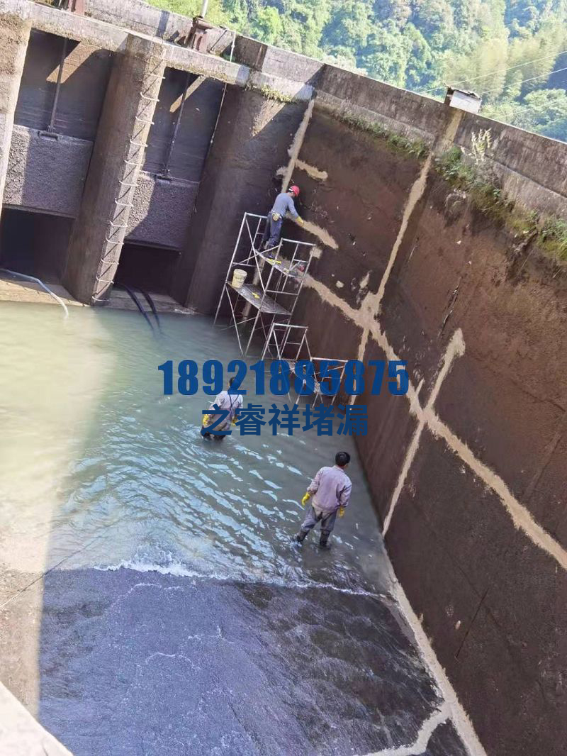 水电站蓄水池渗水修补