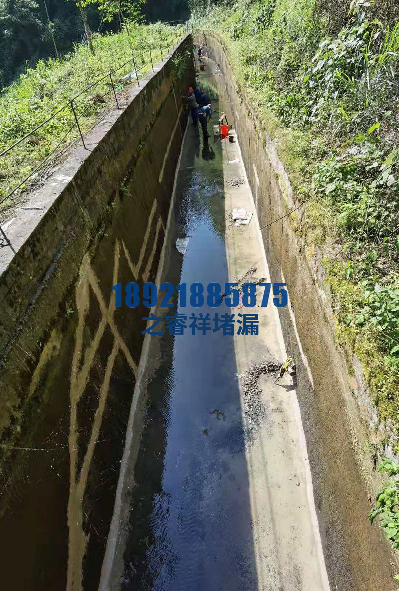 水电站蓄水池渗水补