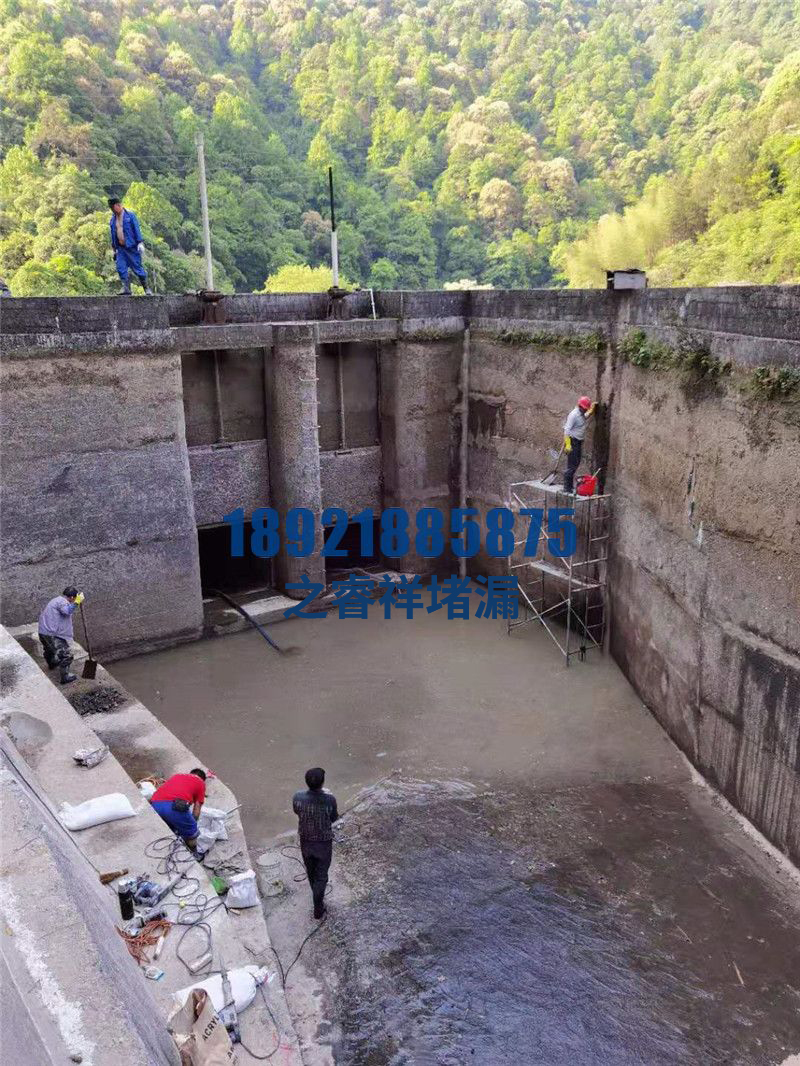 水电站闸门堵漏