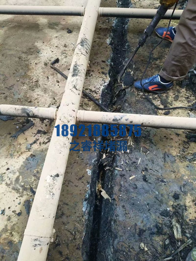 污水池伸缩缝堵漏