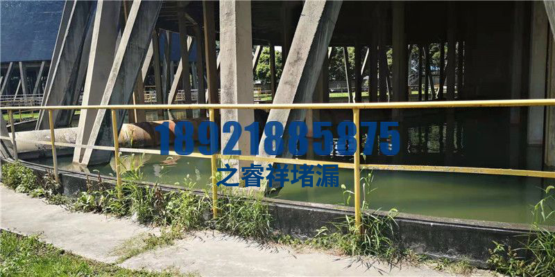 电站循环水池堵漏